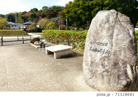 国分寺 武蔵国分寺尼寺跡 国分寺 武蔵国分寺尼寺跡 71328681
