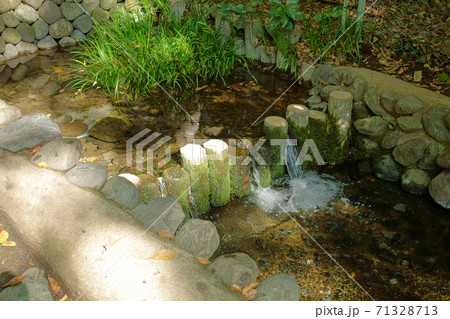 国分寺　お鷹の道　真姿の池湧水群 71328713