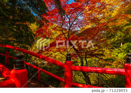 伊香保温泉 河鹿橋と紅葉 群馬県 の写真素材