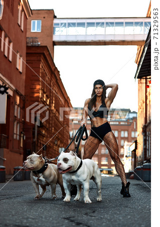 woman with an athletic figure with two dogs american bully on the city streets woman with an athletic figure with two dogs american bully on the city streets 71329563