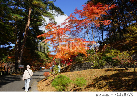 秋の福泉寺は紅葉が素晴らしい　 71329770