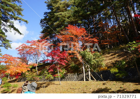 秋の福泉寺は紅葉が素晴らしい　 71329771