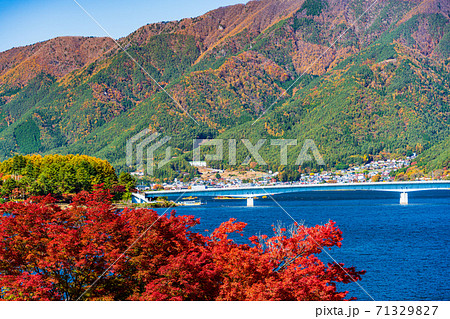 (山梨県)天上山公園から眺める河口湖 湖畔 (山梨県)天上山公園から眺める河口湖 湖畔 71329827