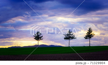 北海道女満別メルヘンの丘の夕暮 71329904
