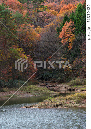 聖湖の紅葉 1 聖湖の紅葉 1 71330420