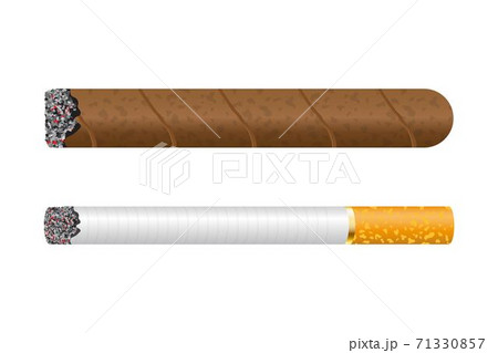 Burning cigar vector illustration isolated on white background 71330857