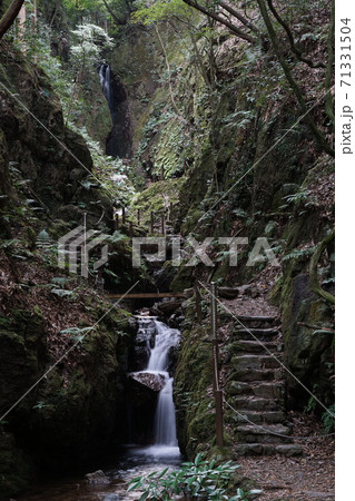 黒山三滝　天狗滝への途中 71331504