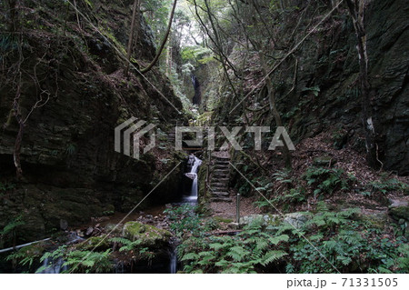 黒山三滝　天狗滝への途中 71331505