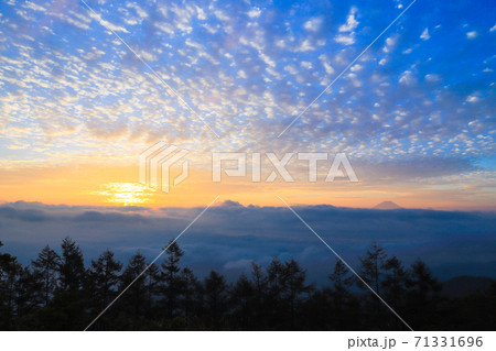 朝焼けのうろこ雲　甘利山 71331696