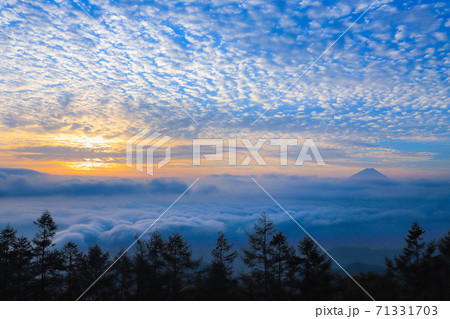 朝焼けのうろこ雲 甘利山 朝焼けのうろこ雲 甘利山 71331703