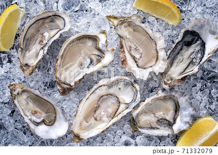Fresh opened oyster with sliced lemon as top view on crushed ice 71332079