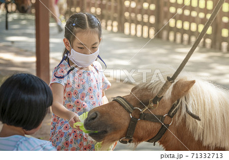Asian tourist child girl is feeding the pony in zoo of Thailand, wearing medical or protective mask and feeding vegetable to pony. Travel under epidemic prevention measures, Covid-19. 71332713