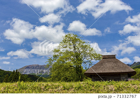 国立公園大山と茅葺屋根の小屋_春 国立公園大山と茅葺屋根の小屋_春 71332767