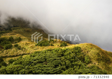 背景 バックグラウンド バックグランド 71332940