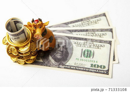 image of bull money white background  71333108