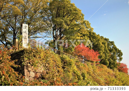 淀城址紅葉 淀城址紅葉 71333393