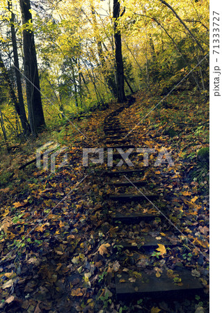 Walking trail in the national park in autumn 71333727