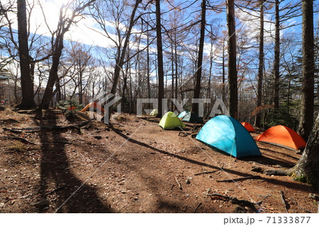 山梨県の瑞牆山の富士見平小屋前のテント葉 山梨県の瑞牆山の富士見平小屋前のテント葉 71333877
