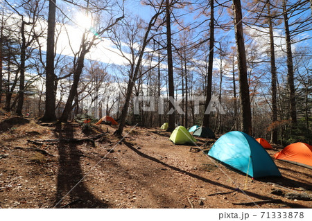 山梨県の瑞牆山の富士見平小屋前のテント葉 山梨県の瑞牆山の富士見平小屋前のテント葉 71333878
