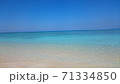 美ら海 71334850