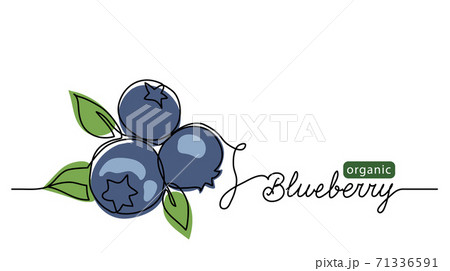 Blueberry vector illustration. One line drawing - Stock