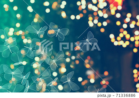 blurry lights background and abstract mesh moth butterflies. 3d illustration 71336886