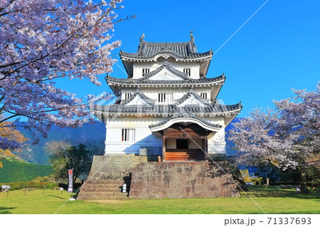 【愛媛県】 桜満開の宇和島城(現存12天守) 71337693