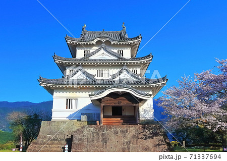 【愛媛県】 桜満開の宇和島城(現存12天守) 71337694