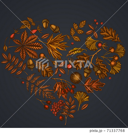 Heart design on dark background with fern, dog rose, rowan, ginkgo, maple, oak, horse chestnut 71337768
