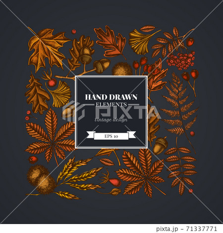 Square design on dark background with fern, dog rose, rowan, ginkgo, maple, oak, horse chestnut 71337771