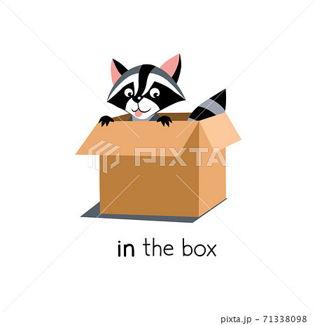 Preposition of place. Raccoon in the box 71338098