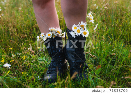 Woman feet in boots with daisy Woman feet in boots with daisy 71338706