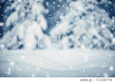 Beautiful tree in winter landscape in late evening in snowfall. 71338746