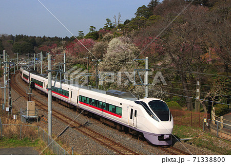 水戸偕楽園付近を行く常磐線特急ひたち号 水戸偕楽園付近を行く常磐線特急ひたち号 71338800