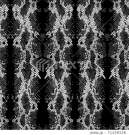 Abstract colorful snake skin ornament. Animal seamless pattern Abstract colorful snake skin ornament. Animal seamless pattern 71339328