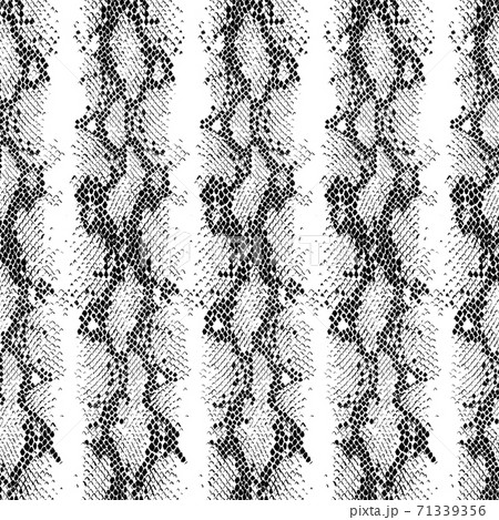 Abstract colorful snake skin ornament. Animal seamless pattern 71339356