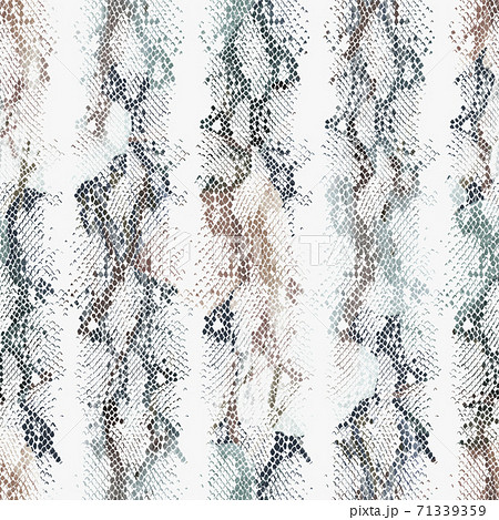 Abstract colorful snake skin ornament. Animal seamless pattern 71339359