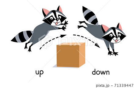 English prepositions with raccoons up and down stairs 7375076