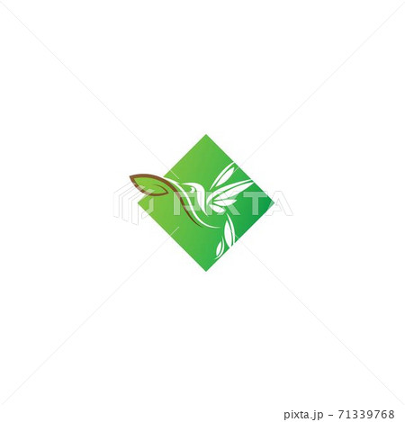 Hummingbird logo icon creative design 71339768