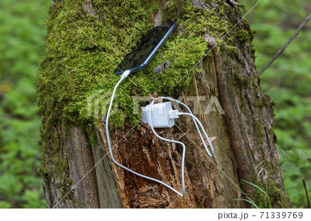 Ecological clean electricity concept. The mobile phone is charged from a tree. 71339769