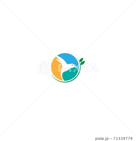Hummingbird logo icon creative design 71339779