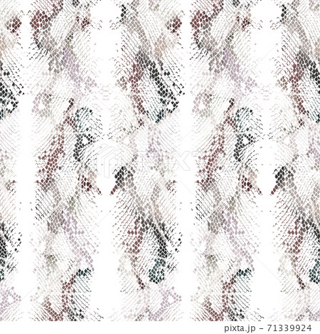 Decorative skin texture ornament. Abstract animal leather pattern. 71339924