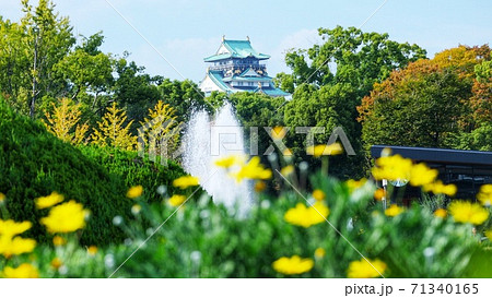 大阪 大阪城公園  71340165