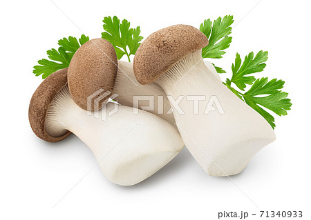 King Oyster mushroom or Eringi isolated on white background with clipping path and full depth of field. 71340933