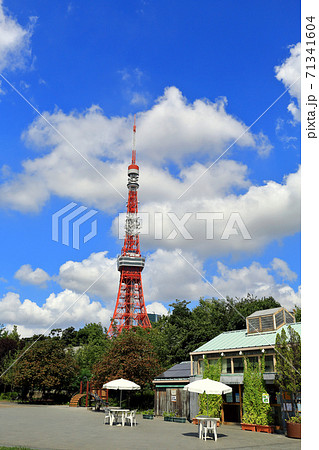 東京　芝公園　東京タワー 71341604