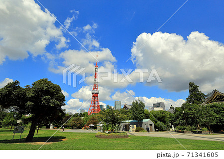 東京　芝公園　東京タワー 71341605