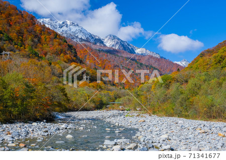 湯檜曽川と谷川連峰 71341677