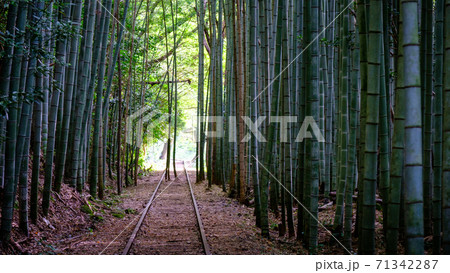 旧国鉄倉吉線廃線跡 旧国鉄倉吉線廃線跡 71342287