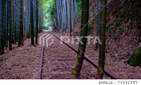 旧国鉄倉吉線廃線跡 旧国鉄倉吉線廃線跡 71342345