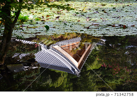 板敷山大覚寺へ行きました #92 板敷山大覚寺へ行きました #92 71342758